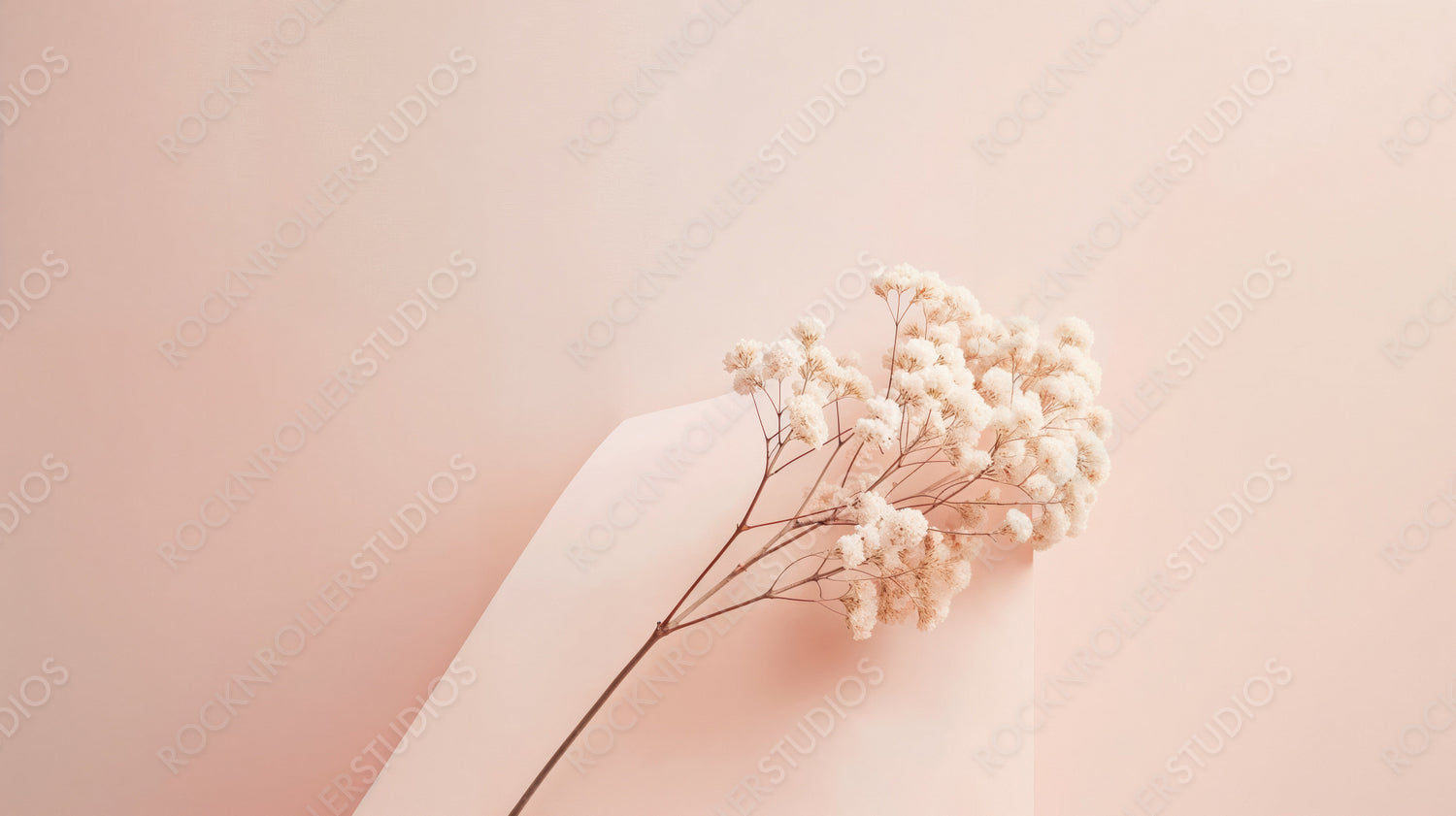 Delicate White Flowers on Pastel Background