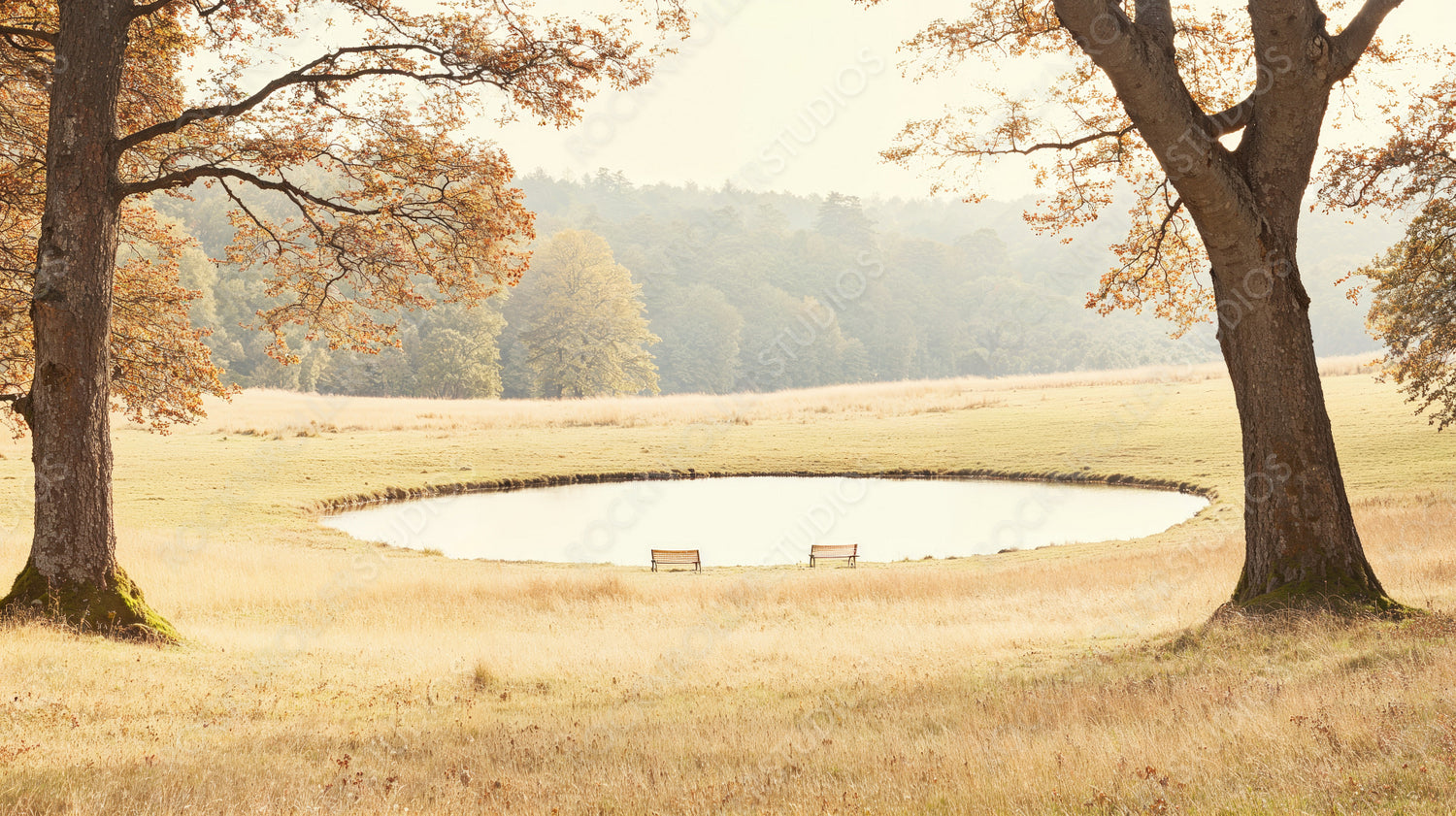 Golden Hour Bliss: Tranquil Autumn Meadow with Reflective Pond and Inviting Park Benches