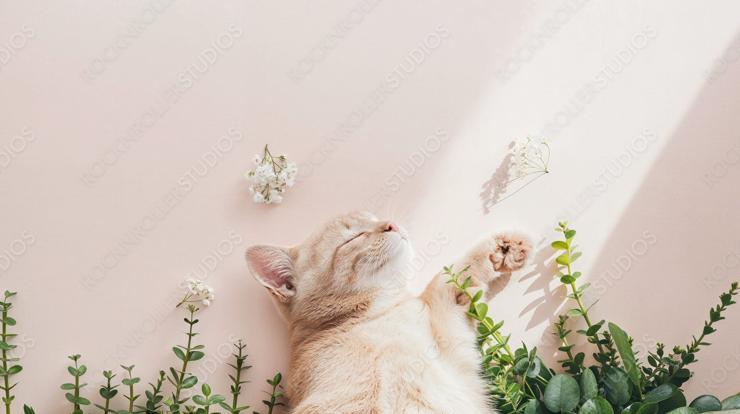 Adorable Kitten Sleeping Among Greenery and Flowers