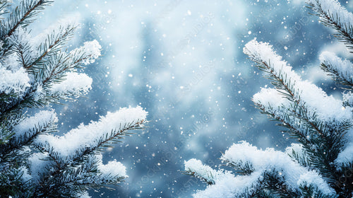 Snowy pine branches dusted in sparkling snowflakes with a dreamy wintery background