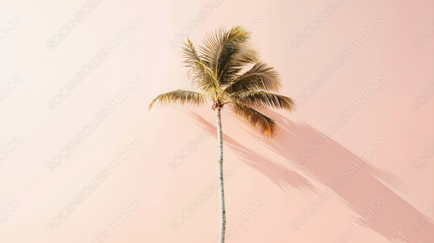 Tall Palm Tree Casting Shadow on Pastel Pink Wall