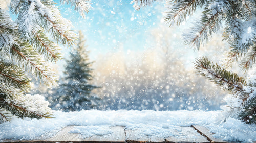 Winter Snow-Covered Pine Branches and Wooden Table with Frosty Snowflakes in Forest Background