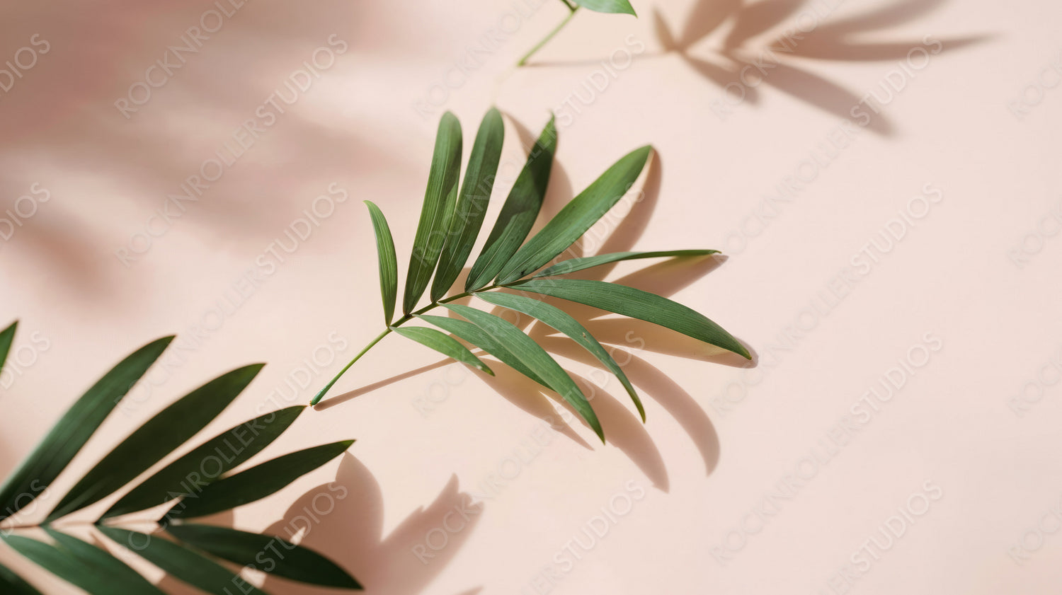 Green Foliage with Shadows on Soft Pink Background for Natural Aesthetic