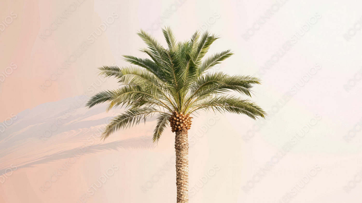 Single Palm Tree Against Soft Pastel Background - Tropical Nature Beauty