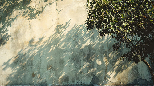 Tree Shadow Cast on Rustic Wall in Warm Sunlight