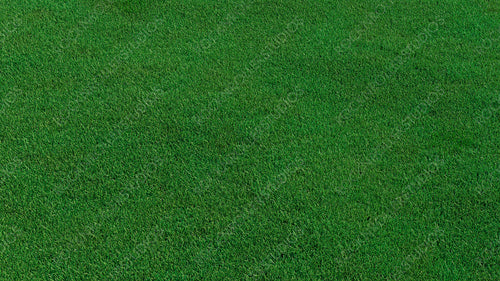 Green grass texture background. A perfectly manicured Sports field / Pitch / Garden Lawn wallpaper.