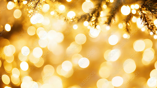 Golden Christmas Lights Shimmering Through Fir Branches, Creating a Warm Festive Glow