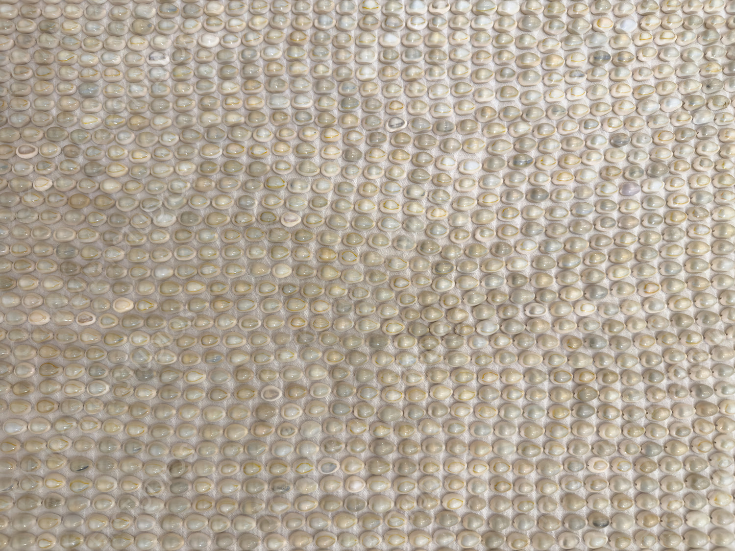 Glossy Iridescent Pearls in Close-Up: A Luxurious Textured Display