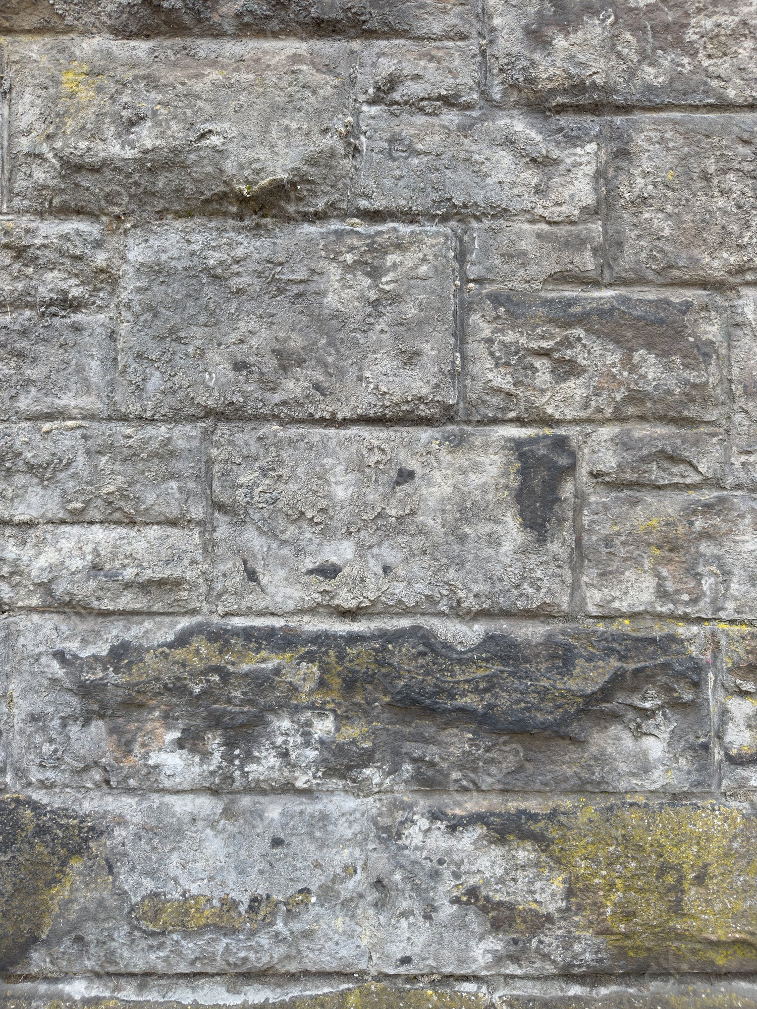 Time-Worn Elegance: Textured Stone Wall with Moss and Lichen Accents