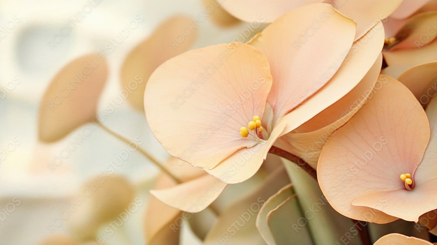 Serene Peach Orchids: A Close-Up of Delicate Petals and Soft Hues