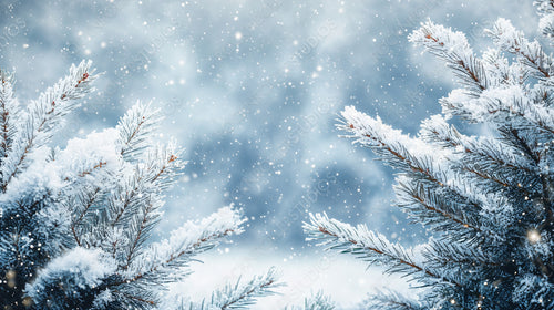 Snowy pine branches dusted in sparkling snowflakes with a dreamy wintery background