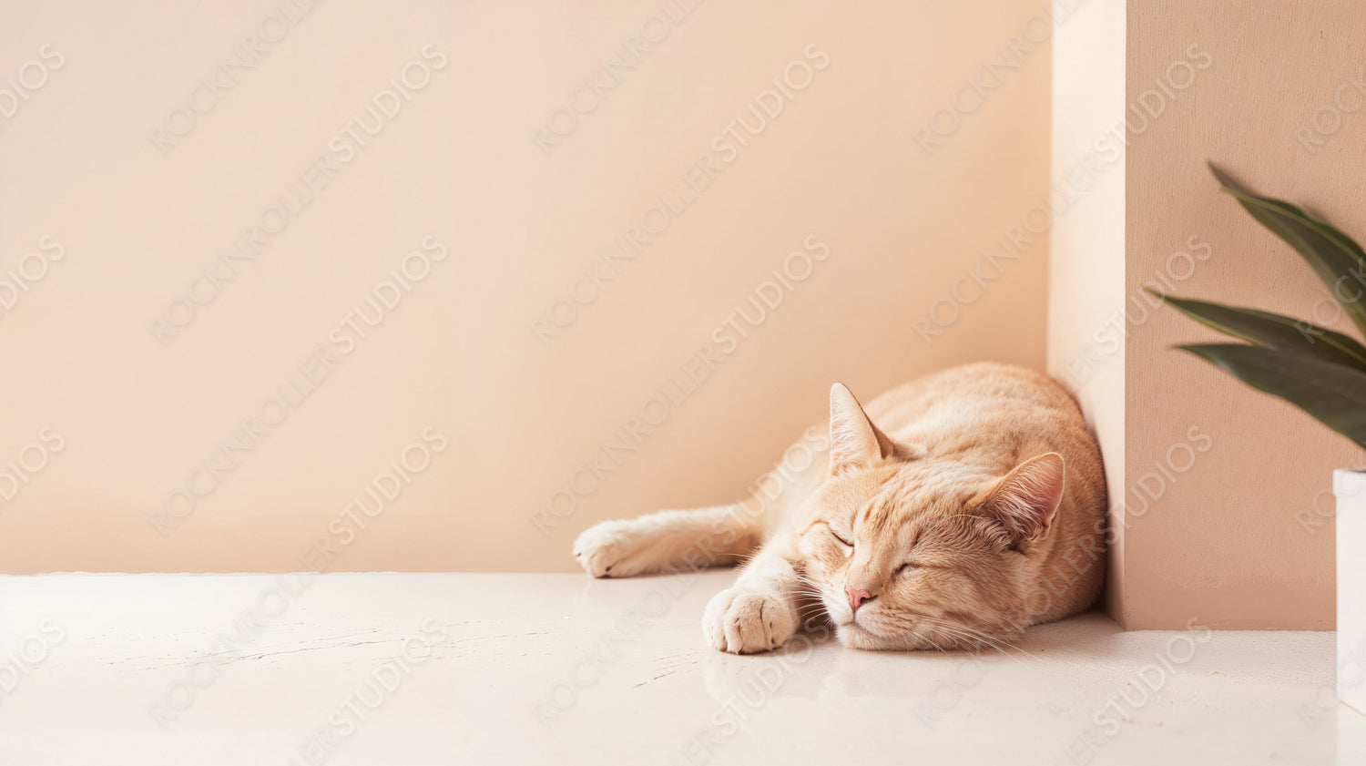 Adorable Cat Sleeping Peacefully in Soft Light by Indoor Plant