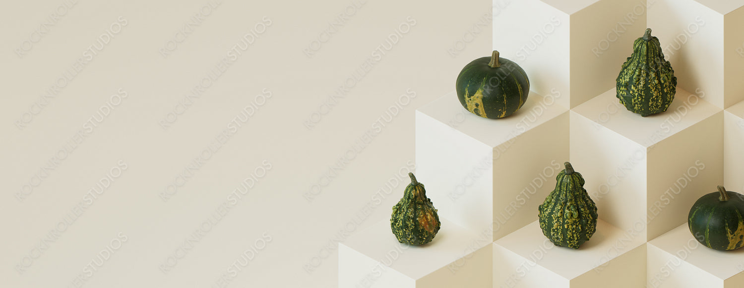 Contemporary Autumn Banner with Squashes on Grey Blocks.