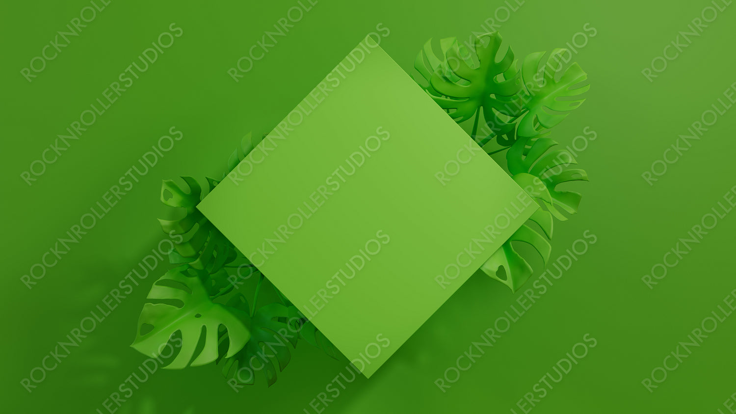 Green, Trendy Background with Diamond Botanical Frame. Monstera Plant Border with copy-space.