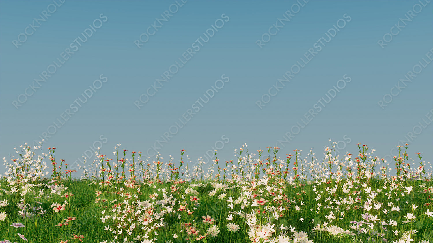 Spring Field with Long Grass, Wild Flowers and clear blue sky. Nature Background with space for copy.