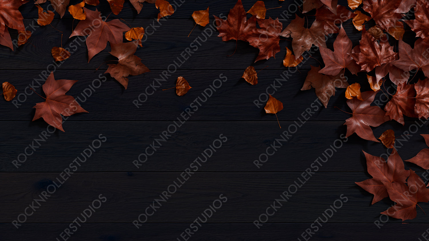Seasonal Background, with Autumn Leaves on Dark wood Surface. Thanksgiving Concept with space for text.