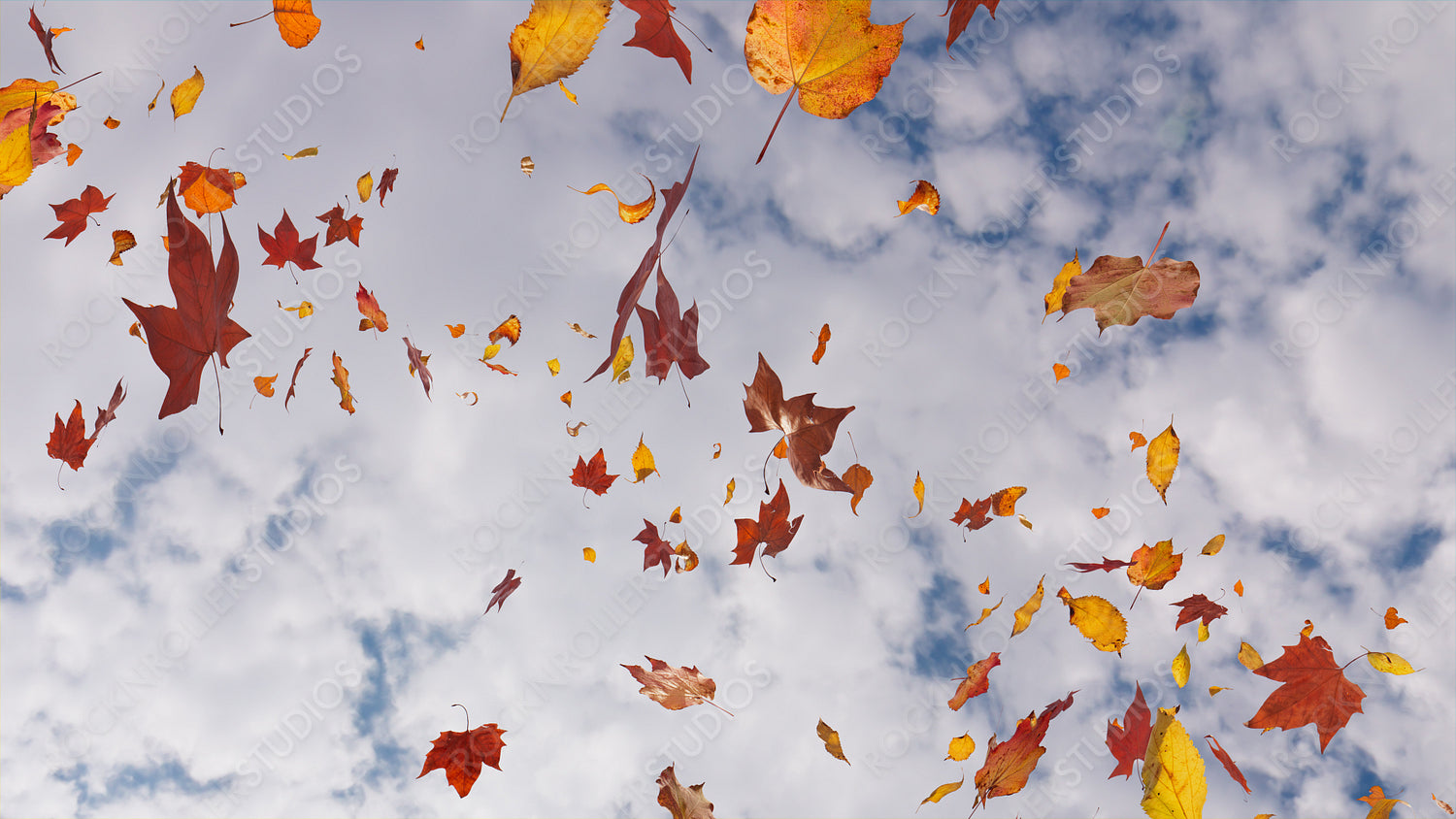 Holiday Background with Autumn Leaves blowing in the wind. Cloudy Sky Banner with copy-space.