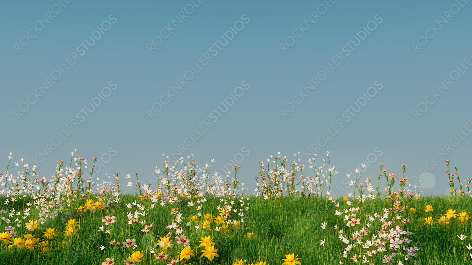 Spring Meadow with Long Grass, Wild Flowers and clear blue sky. Nature Background with space for text.