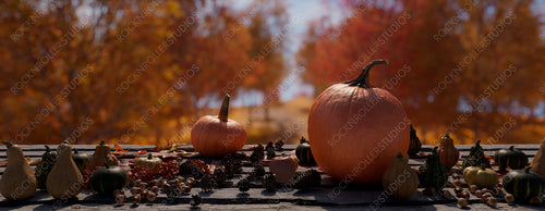Thanksgiving Banner with Pumpkin and Fall Leaves. Seasonal Natural Environment with copy-space.