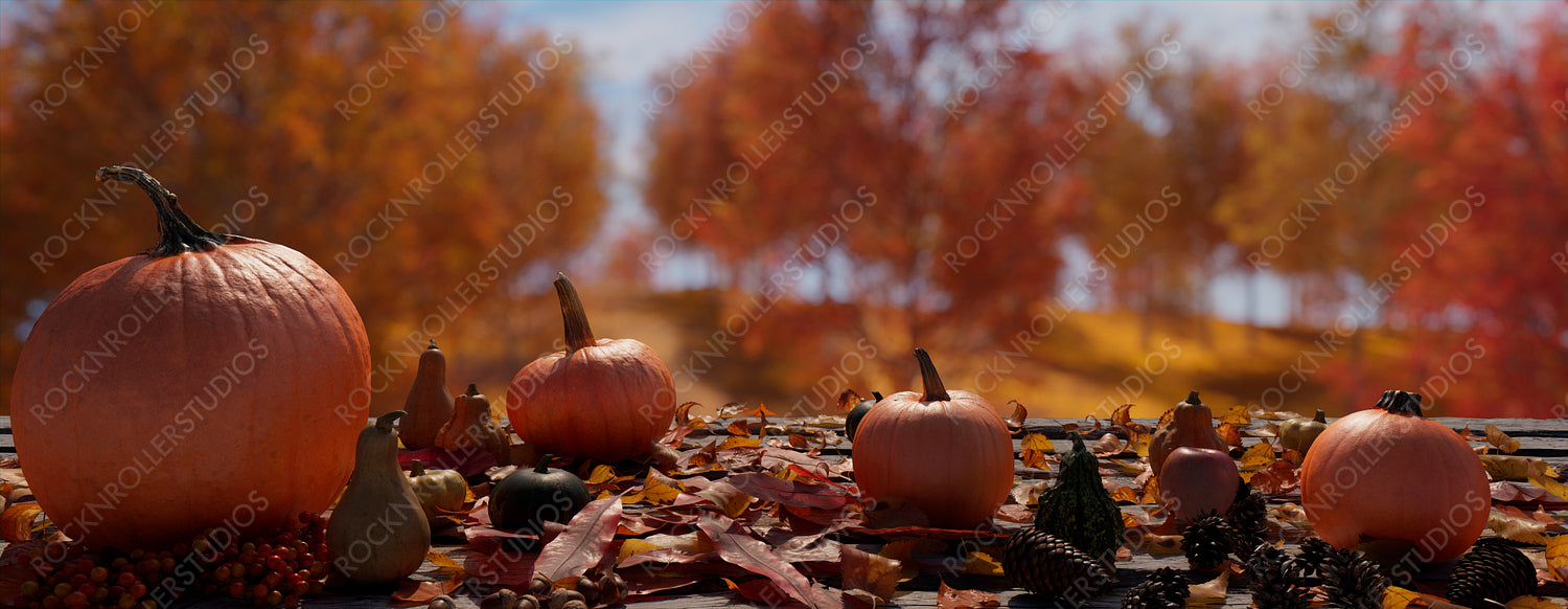 Autumn Banner with Leaves and Gourd. Seasonal Tabletop with copy-space.