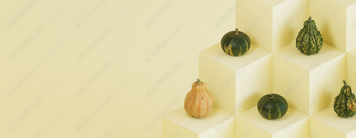 Seasonal background Banner with copy-space. Squashes on Pale Yellow color Cubes. Fall Concept.