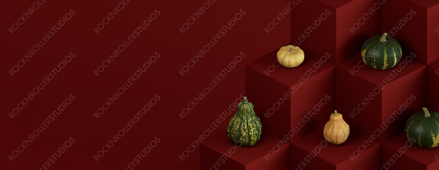 Seasonal background Banner with copy-space. Squashes on Dark Red color 3D Blocks. Autumn Concept.
