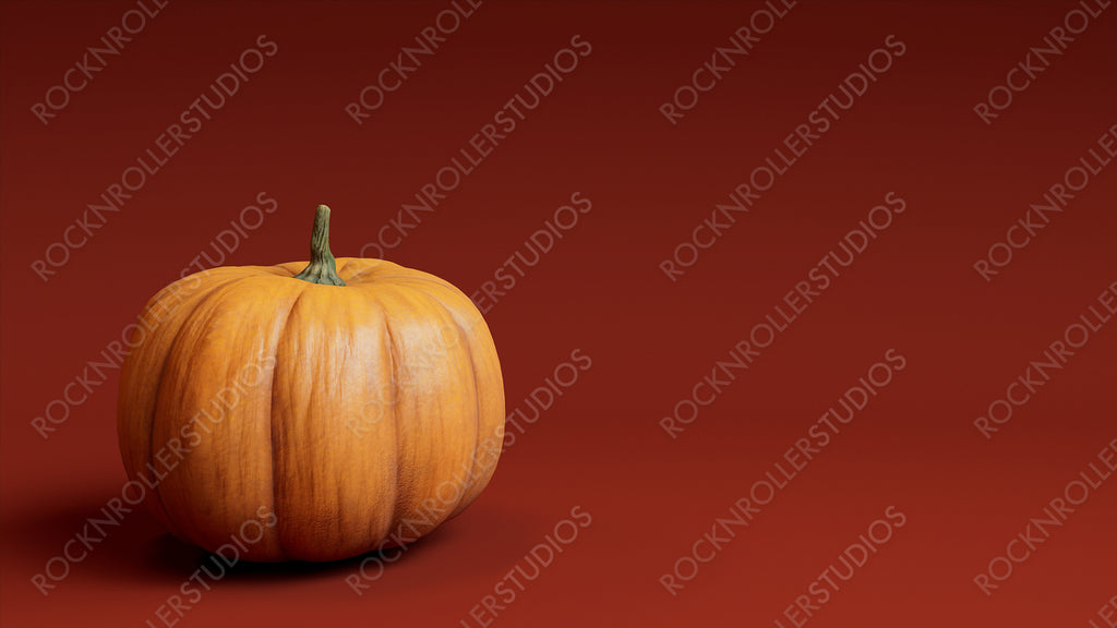 Pumpkin on a Burnt Orange colored background. Fall themed Image with copy-space.