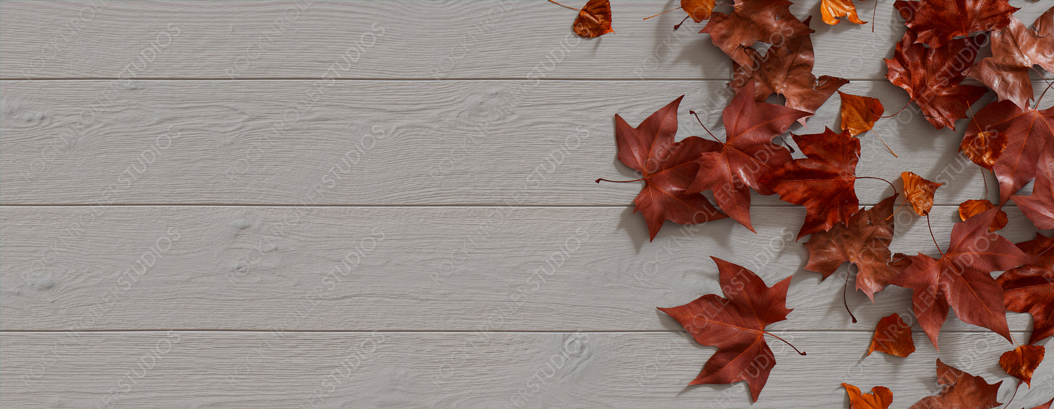 Thanksgiving Background with Autumn leaves on White wood Tabletop.