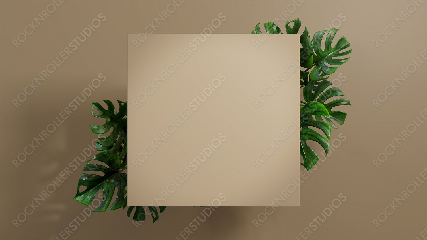 Square Botanical Frame with Monstera Plant Border. Beige, Natural Design for Product Display.