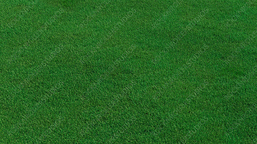 Green grass texture background. A perfectly manicured Sports field / Pitch / Garden Lawn wallpaper.