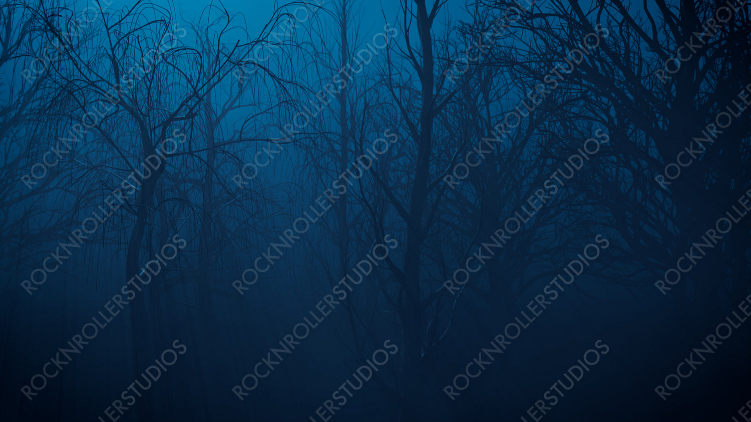 Trees in Spooky Woodland. Halloween background.