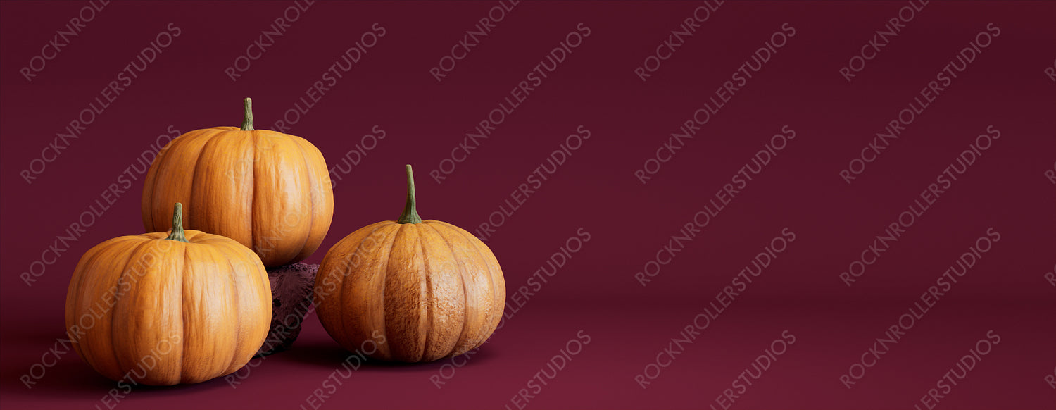 Contemporary Autumn Banner with a collection of Pumpkins on Burgundy background.