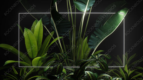 Tropical Plants Illuminated with White Fluorescent Light. Jungle Environment with Rectangle shaped Neon Frame.