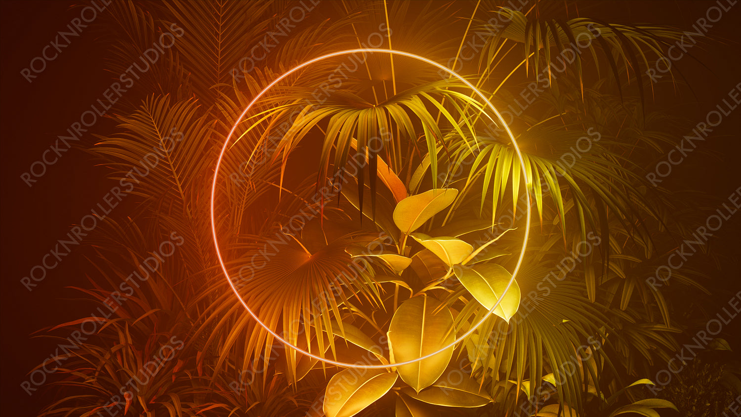 Tropical Plants Illuminated with Orange and Yellow Fluorescent Light. Nature Environment with Circle shaped Neon Frame.