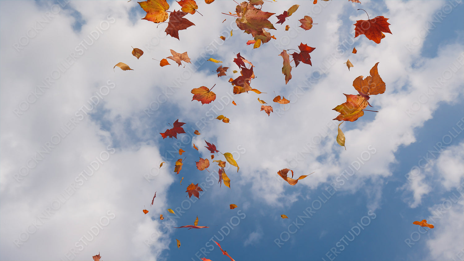 Seasonal Background with Fall Leaves blowing in the wind. Summer Sky Banner with copy-space.