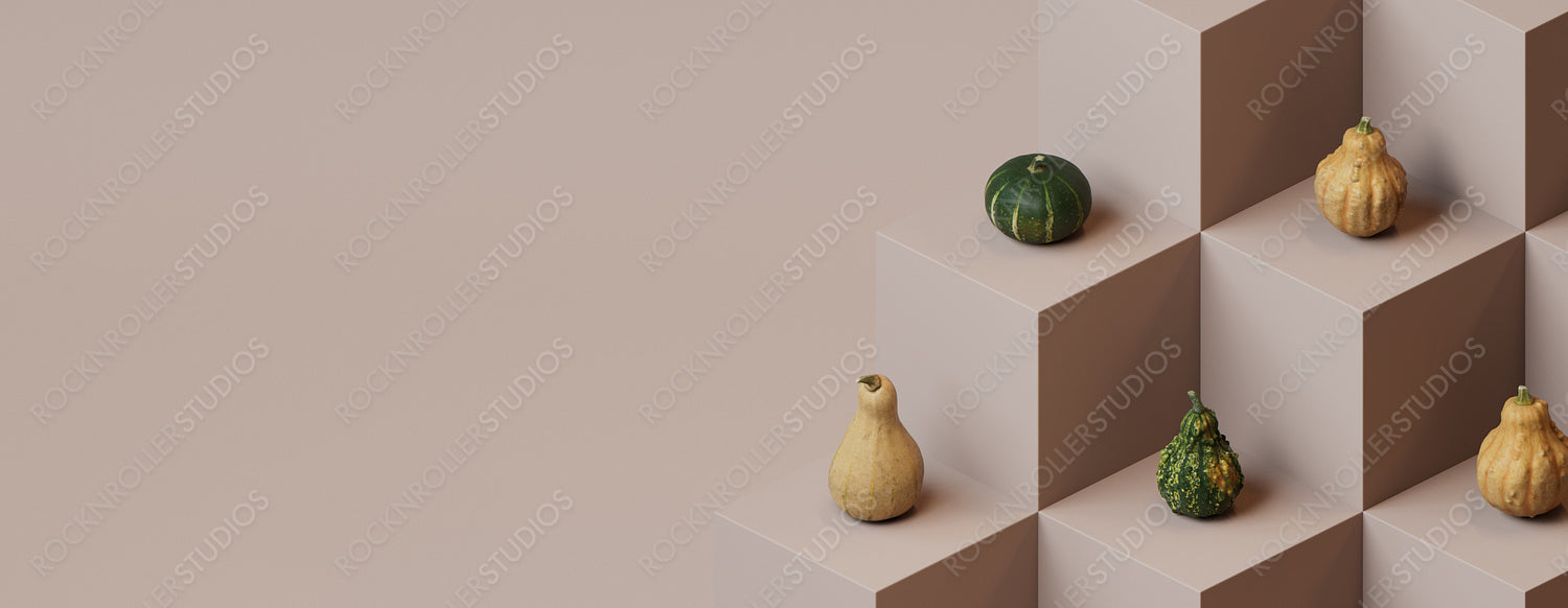 Squashes on Dusty Pink Colored 3D Blocks. Autumn themed Banner with copy-space.
