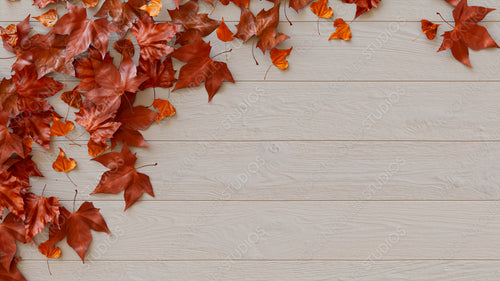Seasonal Wallpaper, with Fall Leaves on White wood Tabletop. Thanksgiving Concept with space for text.